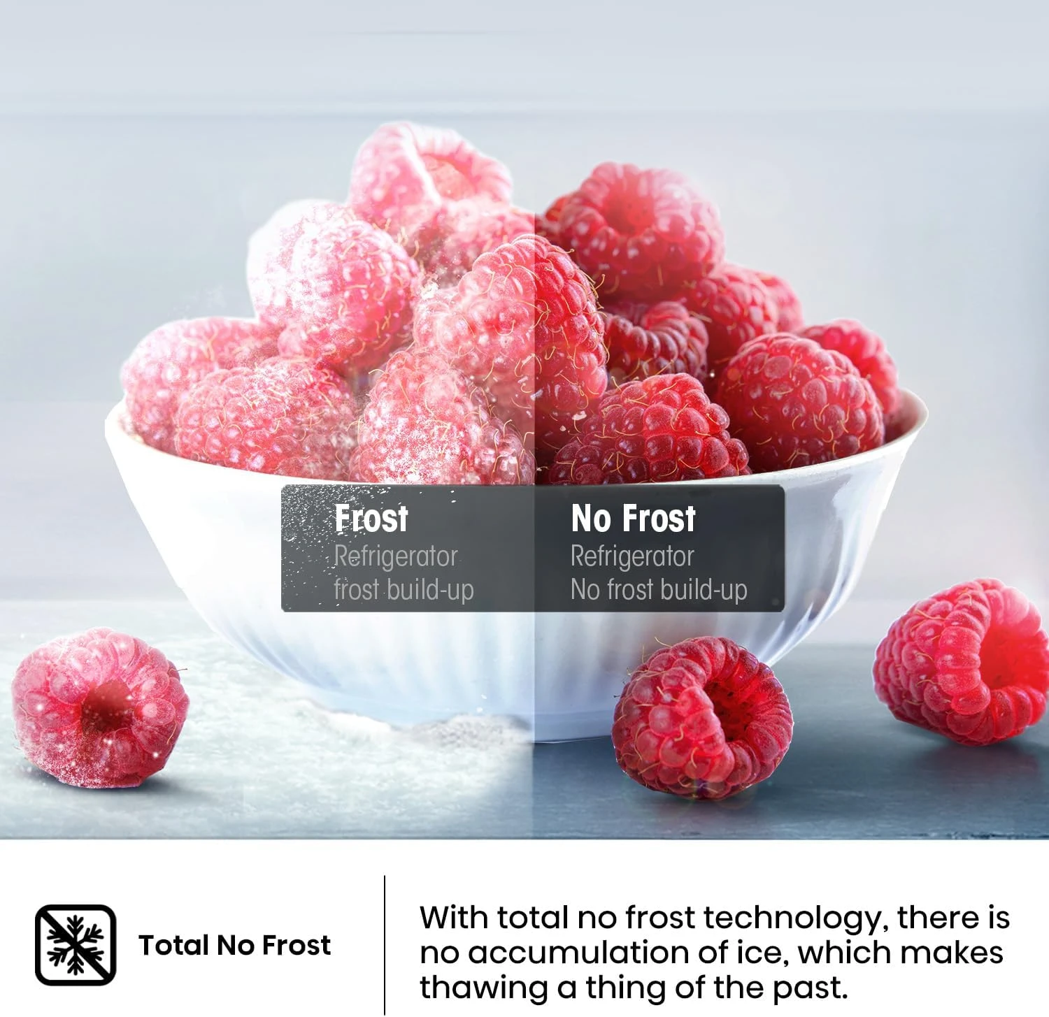 Hisense HTM60320D3, 418 Litres Top Mount Refrigerator with Inverter Compressor, 