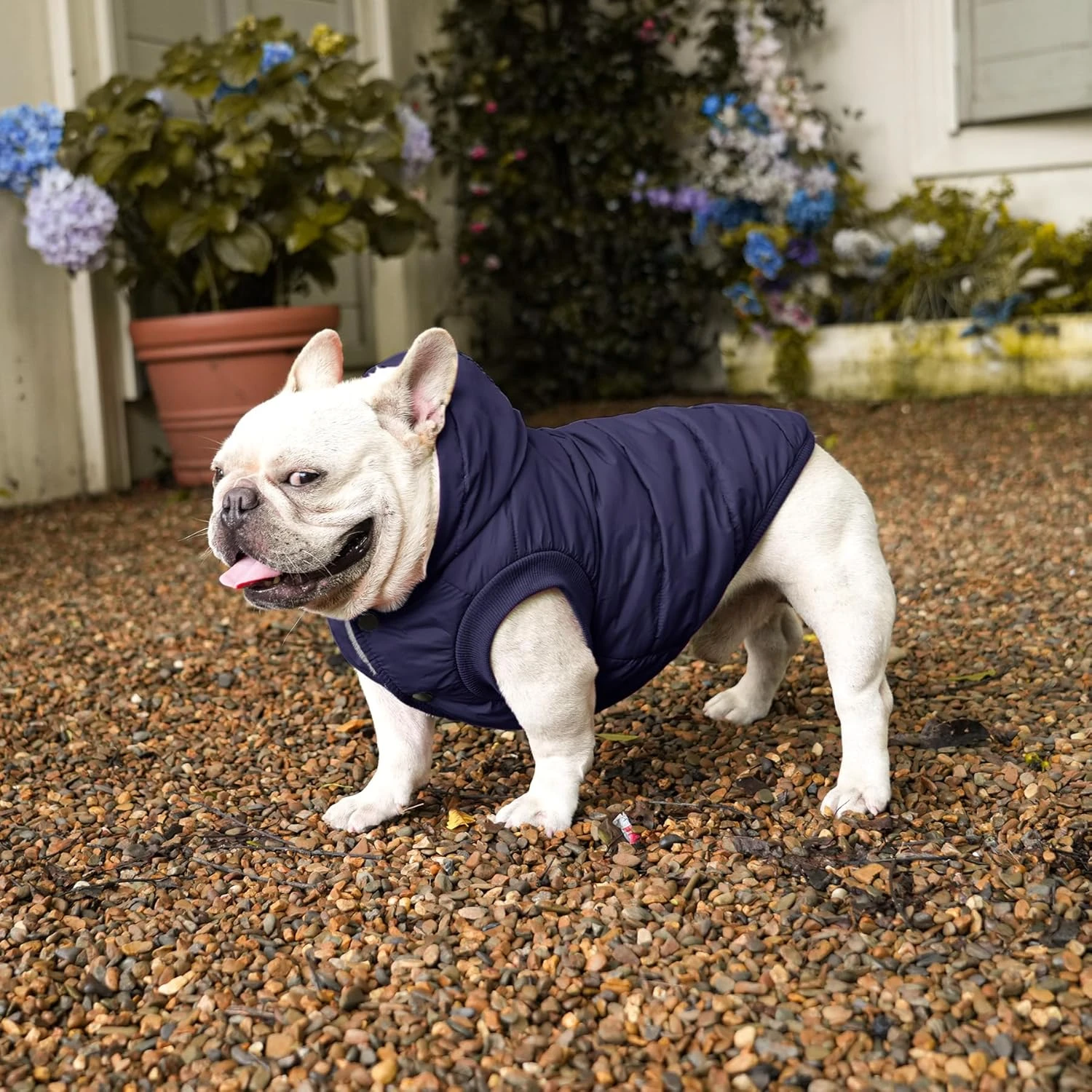 Vecomfy Fleece Lining Extra Warm Dog Hoodie in Winter for Medium Dogs Jacket Pet