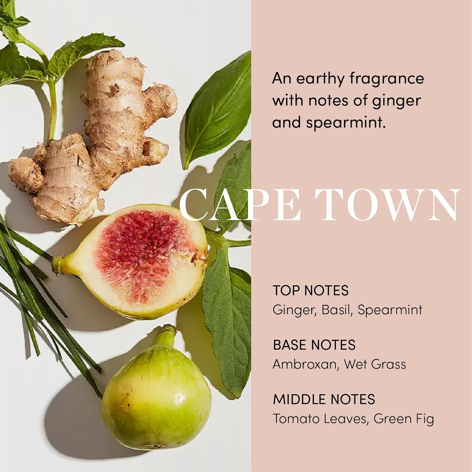 OUAI Scalp Serum – Hair & Scalp Treatment with Red Clover, Siberian Ginseng & Pe