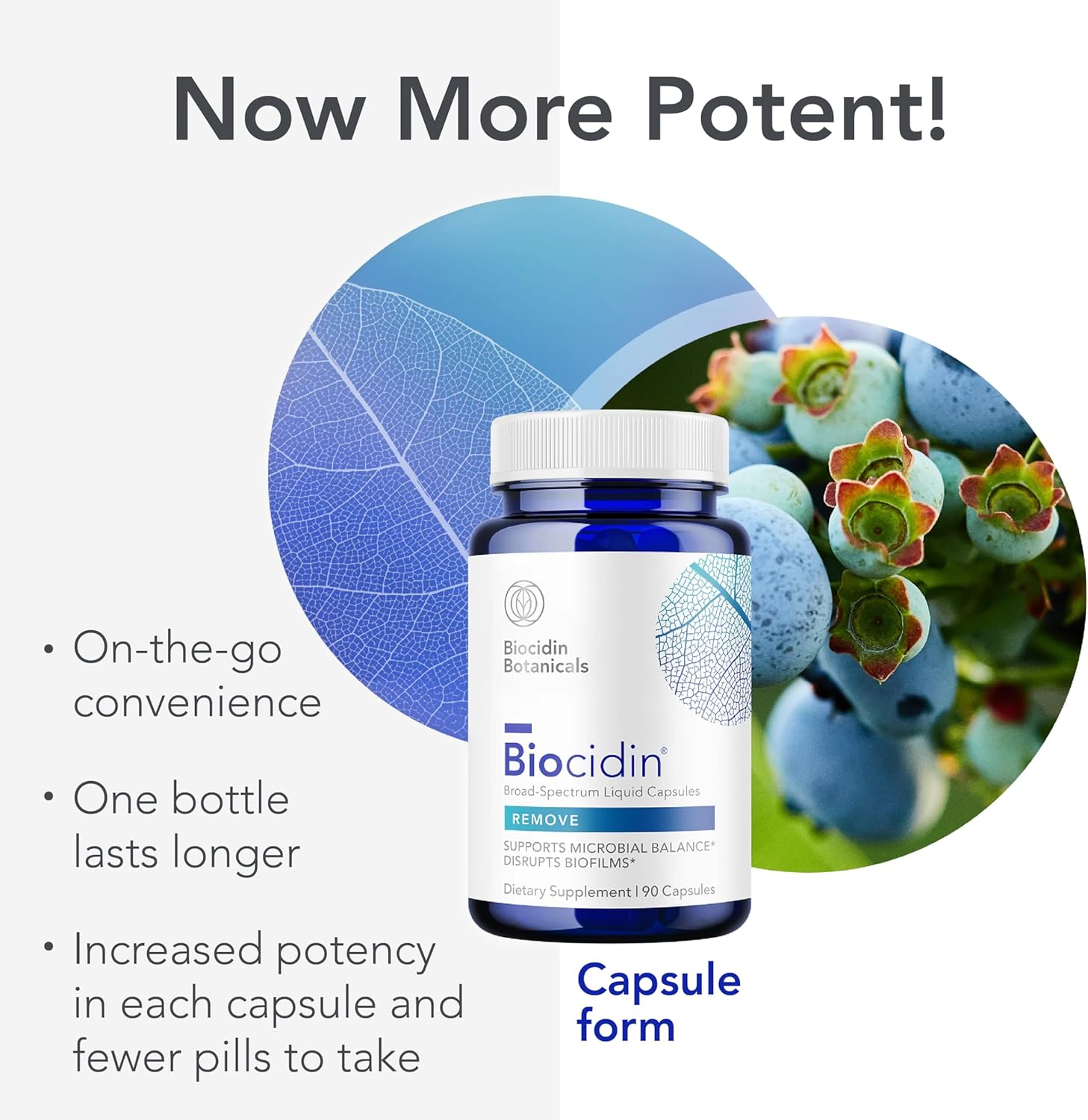 Biocidin Capsules – Professional-Grade Biofilm Disruptor for Gut Detox, Microbia