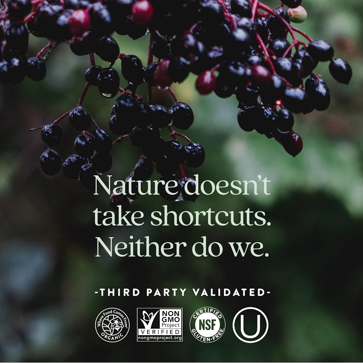 New Chapter Women’s Multivitamin – Hair, Immune & Stress Support with Iron, B6, 