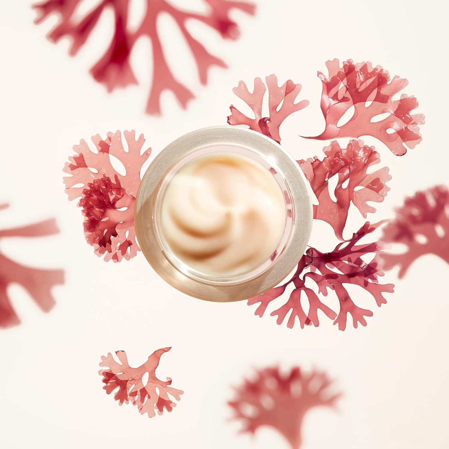 Shiseido Benefiance Wrinkle Smoothing Cream – Anti-Aging Moisturizer for Normal 