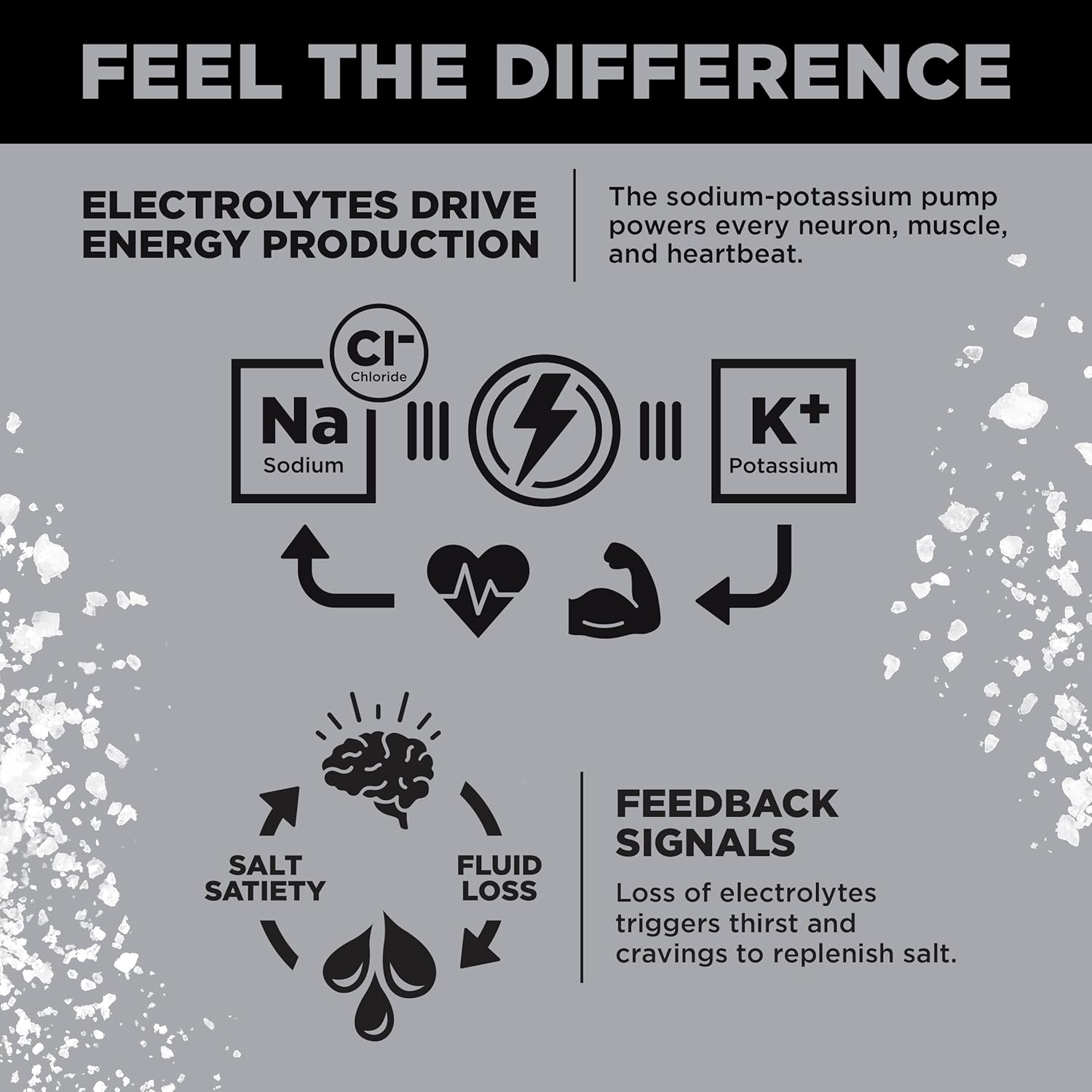 LMNT Zero Sugar Electrolytes Variety Pack – 12-Count Drink Mix for Hydration, El